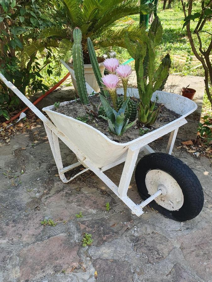 Holiday home Sol's Place Mytilene