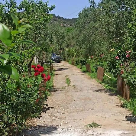 Sol'S Place Mytilene Exterior photo
